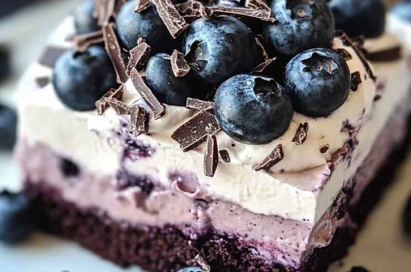 Blueberry Chocolate Delight