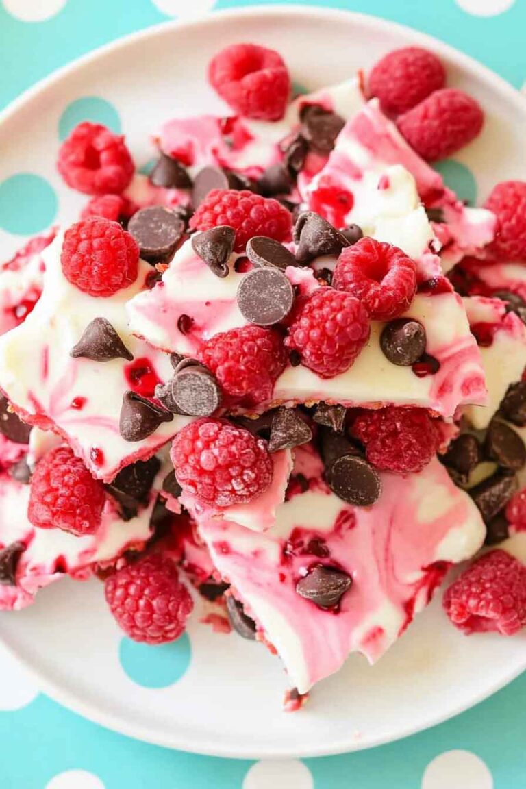 Chocolate Raspberry Yogurt Bark
