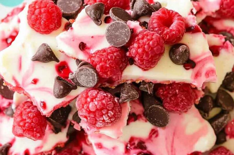 Chocolate Raspberry Yogurt Bark