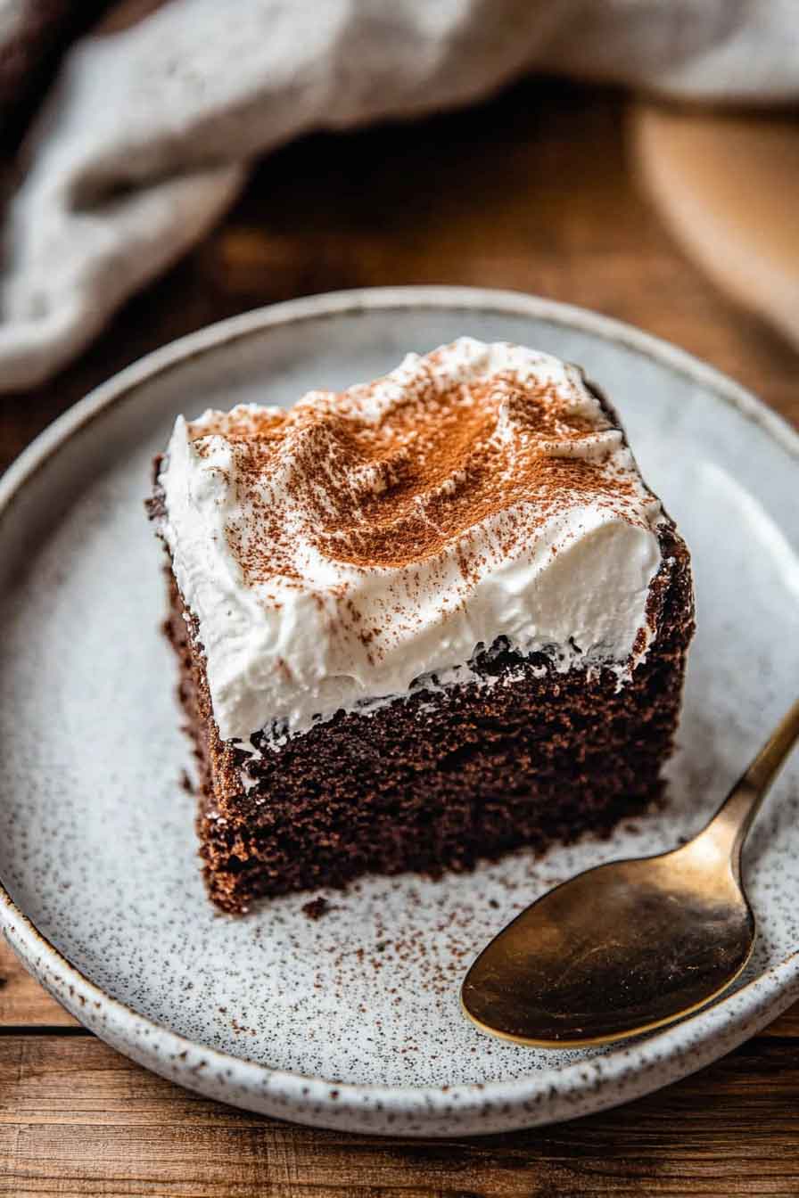Mexican Chocolate Tres Leches Cake