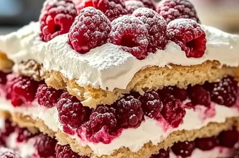 Raspberry Dreams Tiramisu